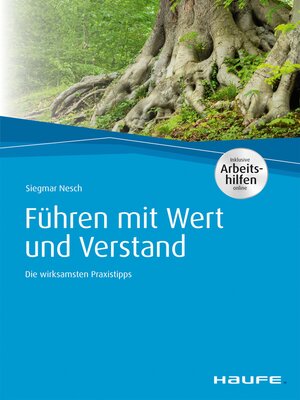 cover image of Führen mit Wert und Verstand